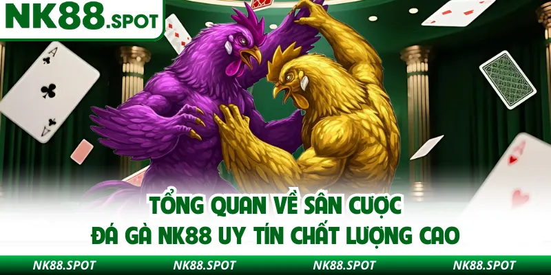 Tổng quan về sân cược đá gà NK88 uy tín chất lượng cao